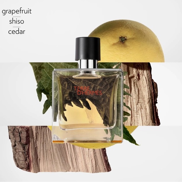 Hermès Terre D'Hermès A fragrance with the warmth and density of wood & benzoin - Picture 13 of 13